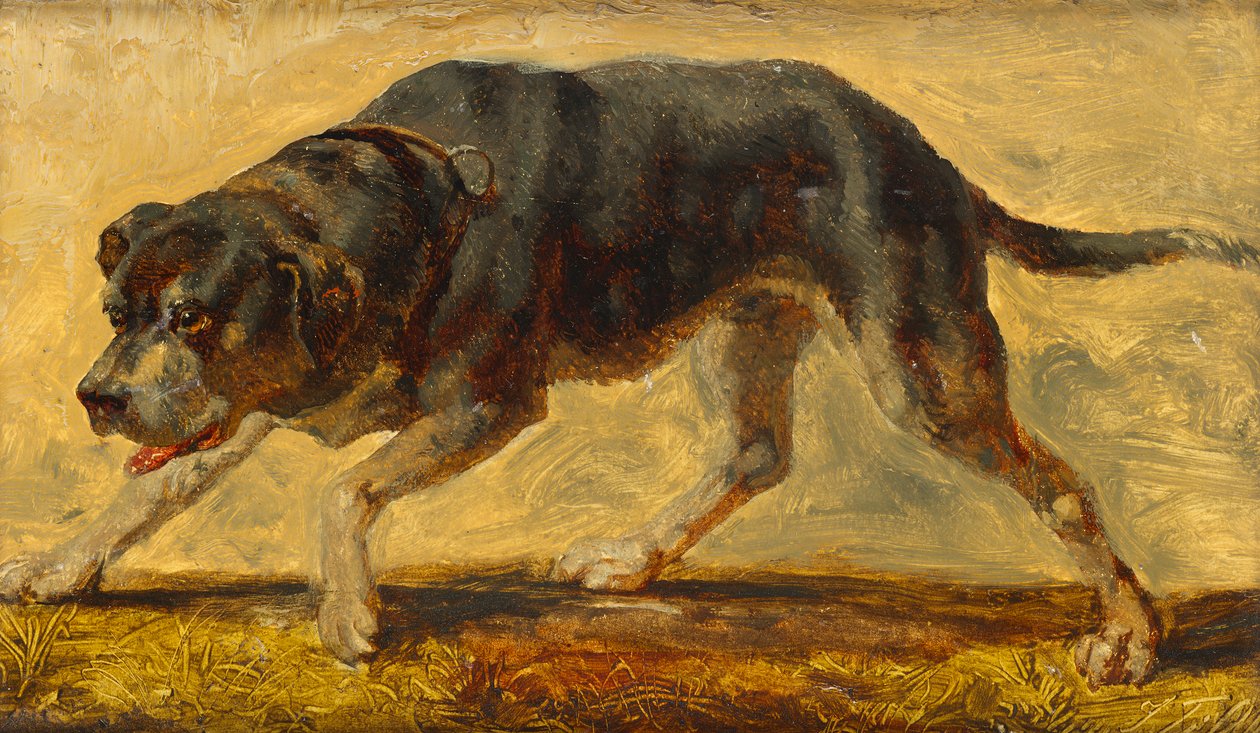 hundestudie af Johann  Till der Jüngere