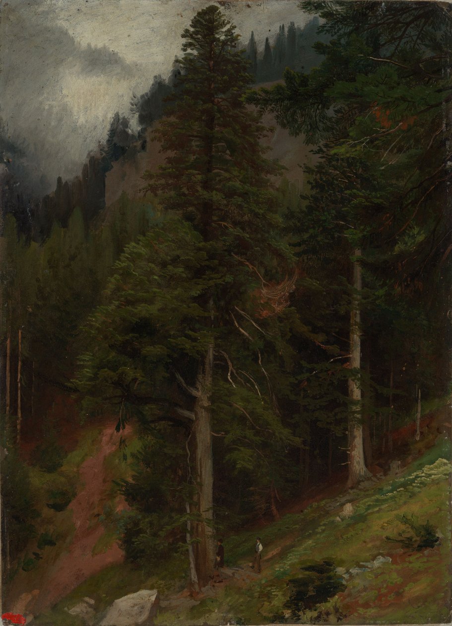 Skråning i granskov af Johann Wilhelm Schirmer
