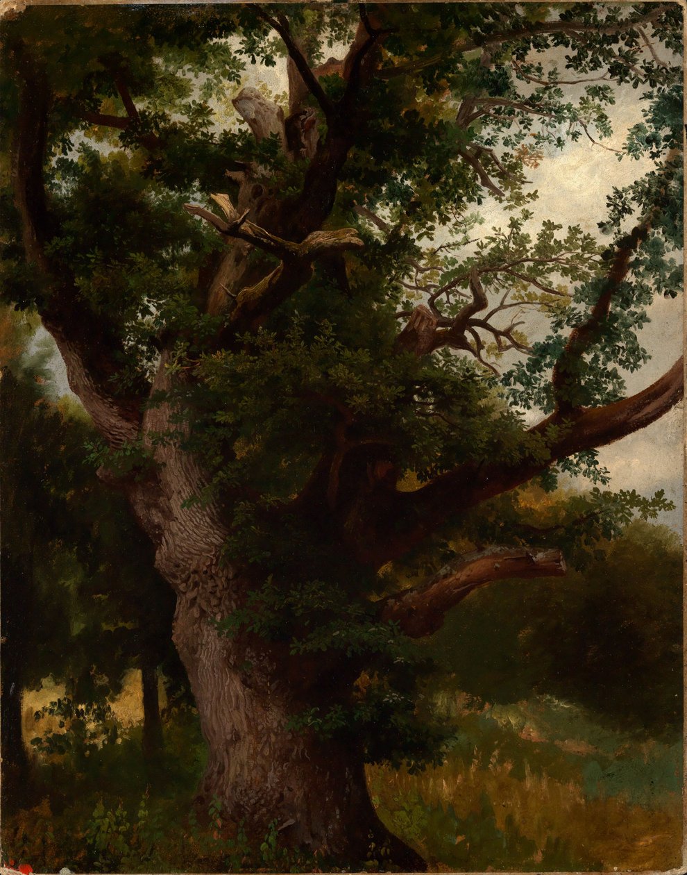 Eichbaum af Johann Wilhelm Schirmer