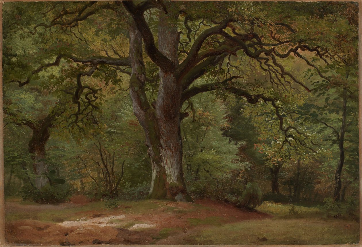 Egeskov i Solling af Johann Wilhelm Schirmer