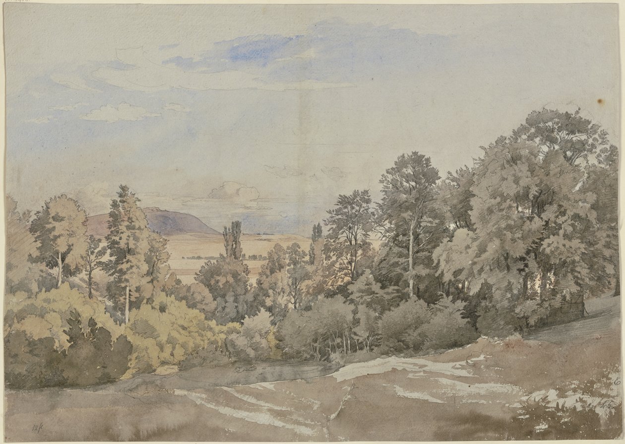 Skov med fjern udsigt af Johann Wilhelm Schirmer