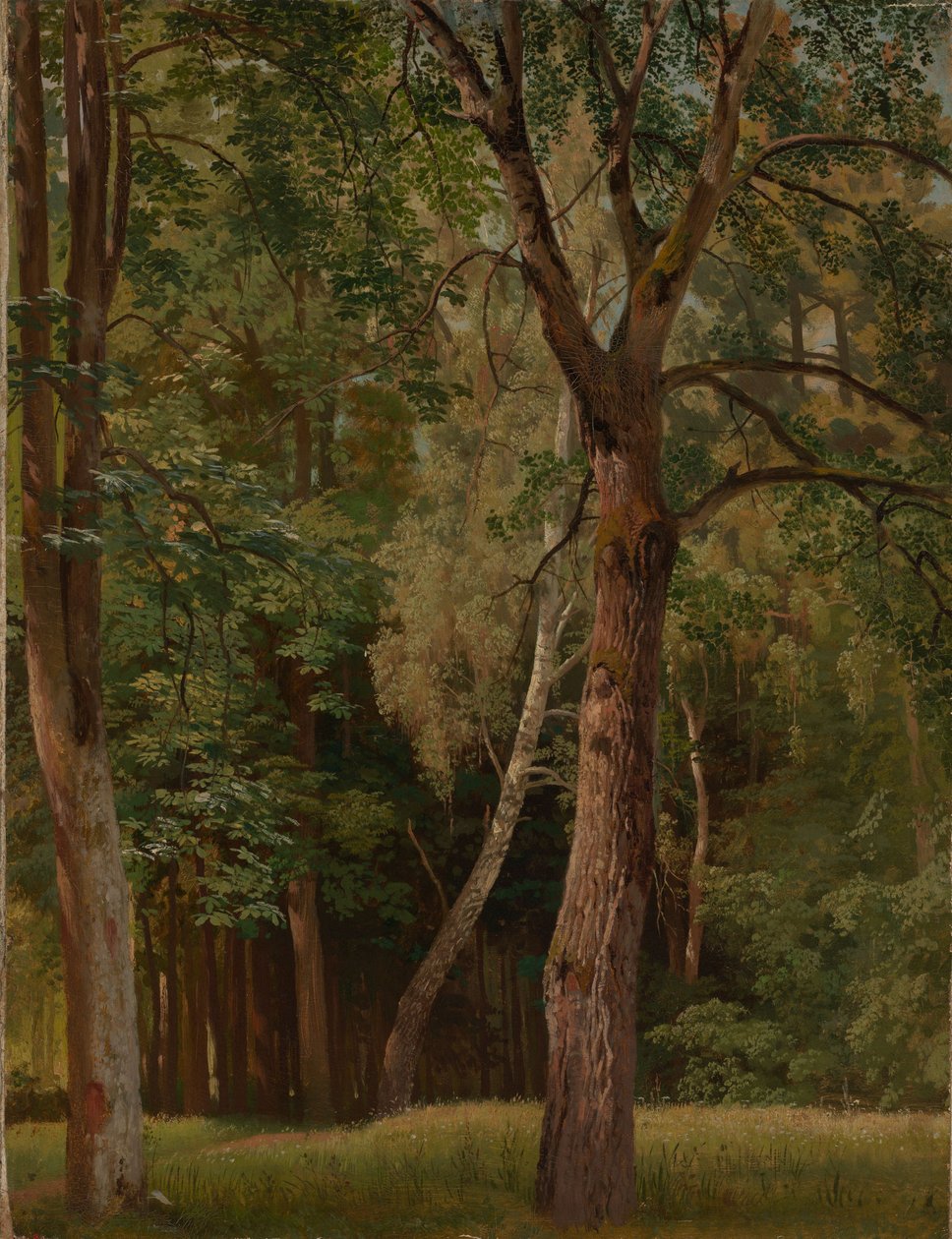 Løvskov med kastanjer og birketræer af Johann Wilhelm Schirmer