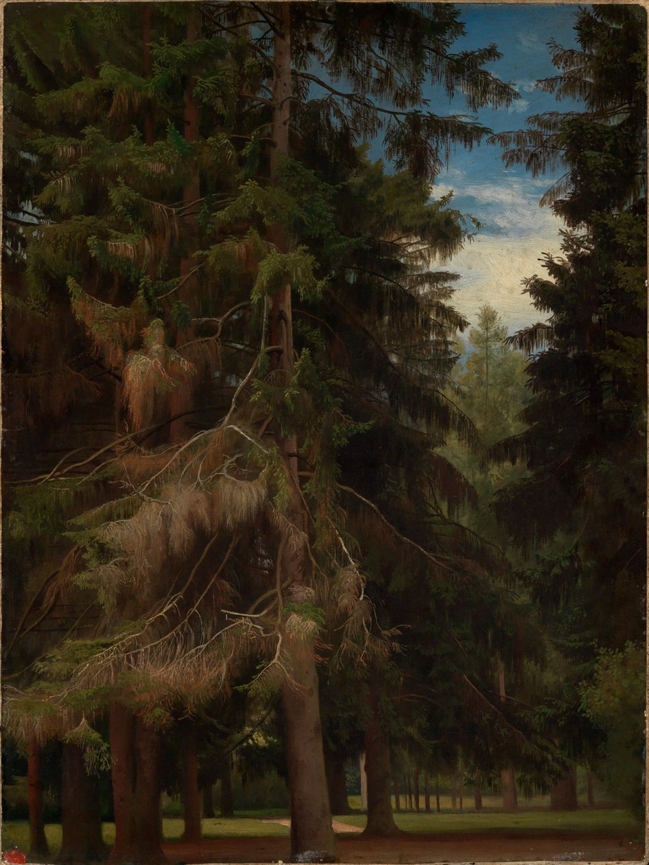 En lysning i graneskoven af Johann Wilhelm Schirmer