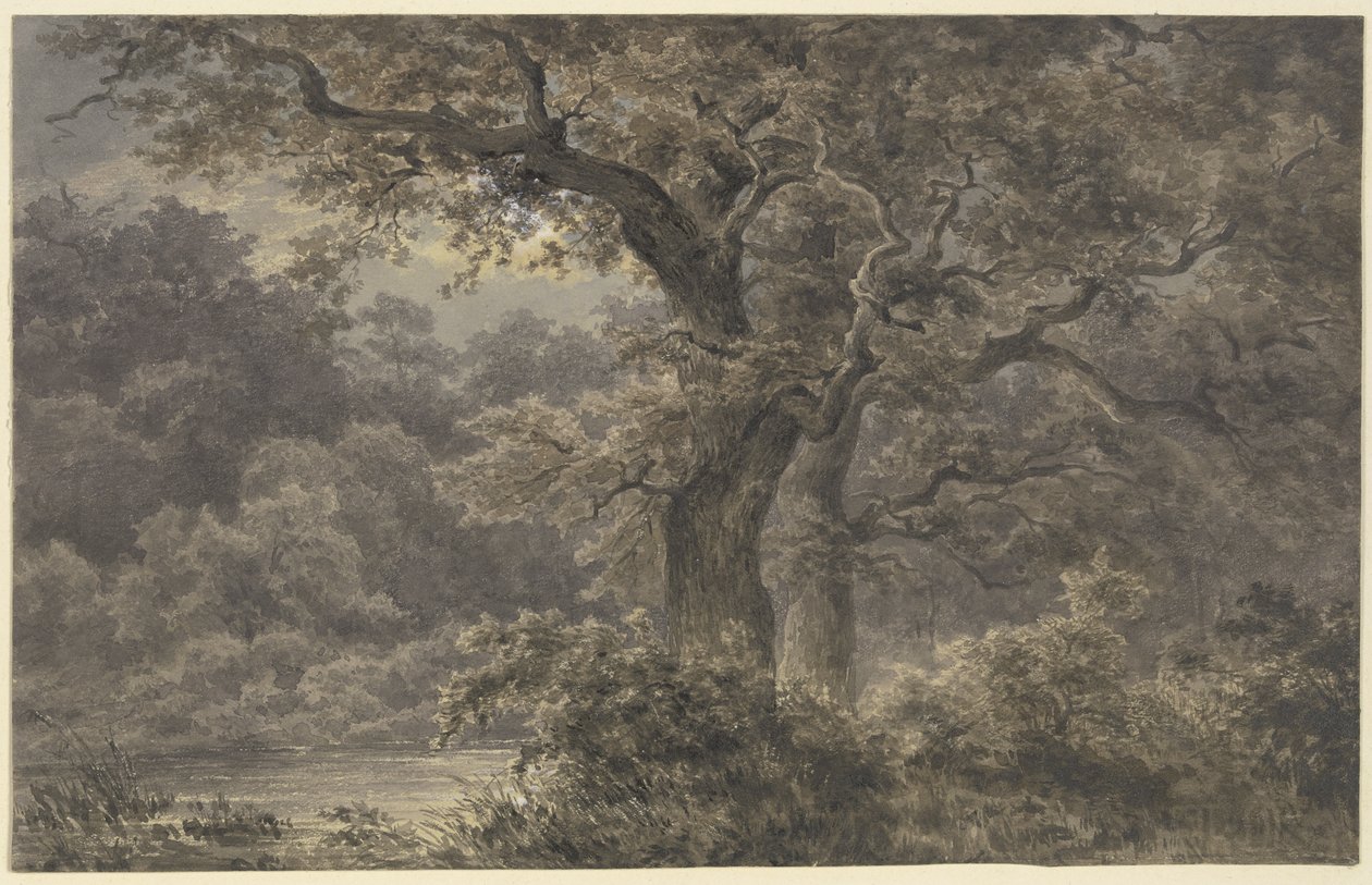 Ege i skoven af Johann Wilhelm Schirmer