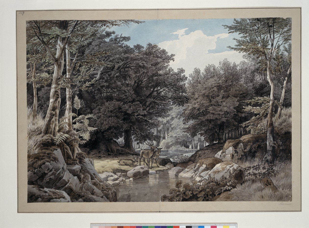 Skovinteriør med hjorte ved vandet af Johann Wilhelm Schirmer