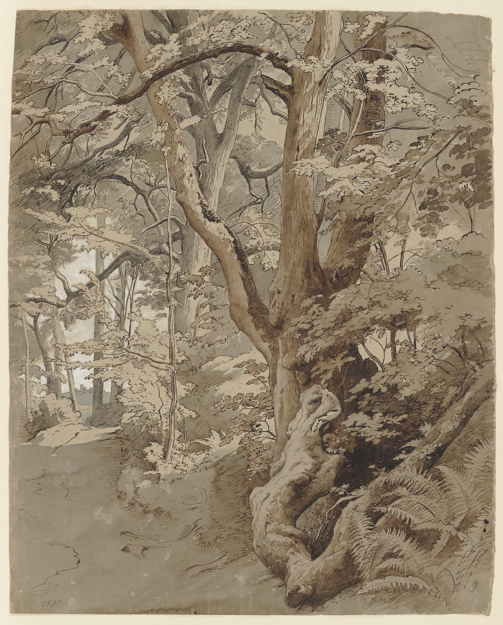 Skovparti med en eg og bregner af Johann Wilhelm Schirmer