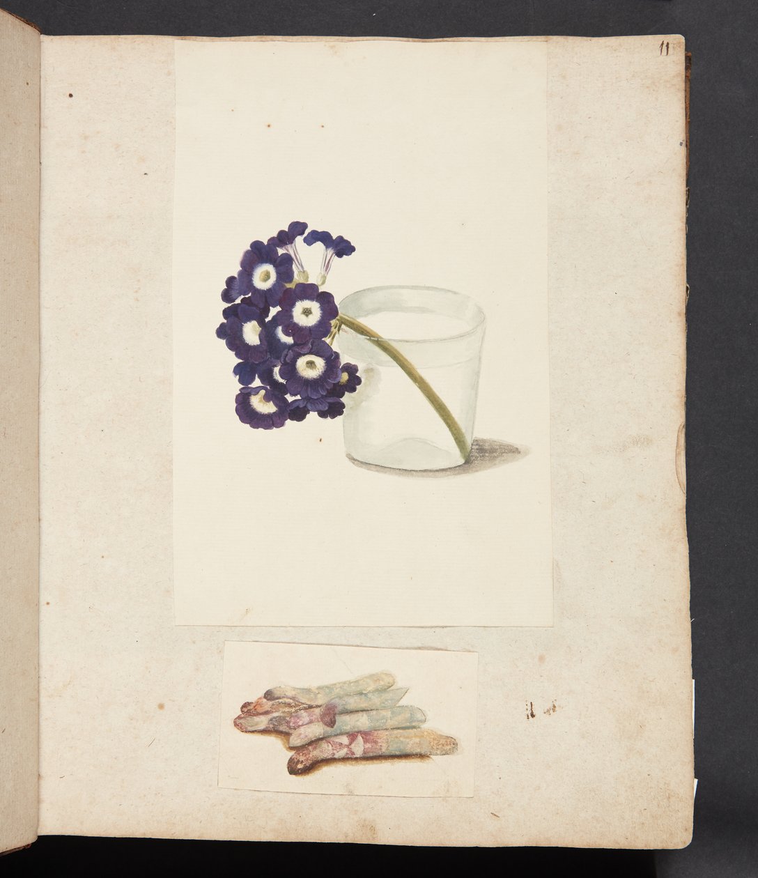 Studie af blomst i glas med vand og hvide asparges af Johanna Fosie