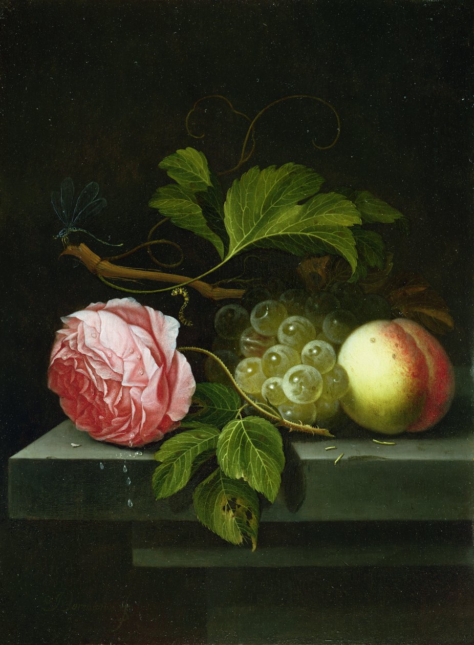 Et stilleben med en rose, druer og fersken, 1600-tallet af Johannes Borman
