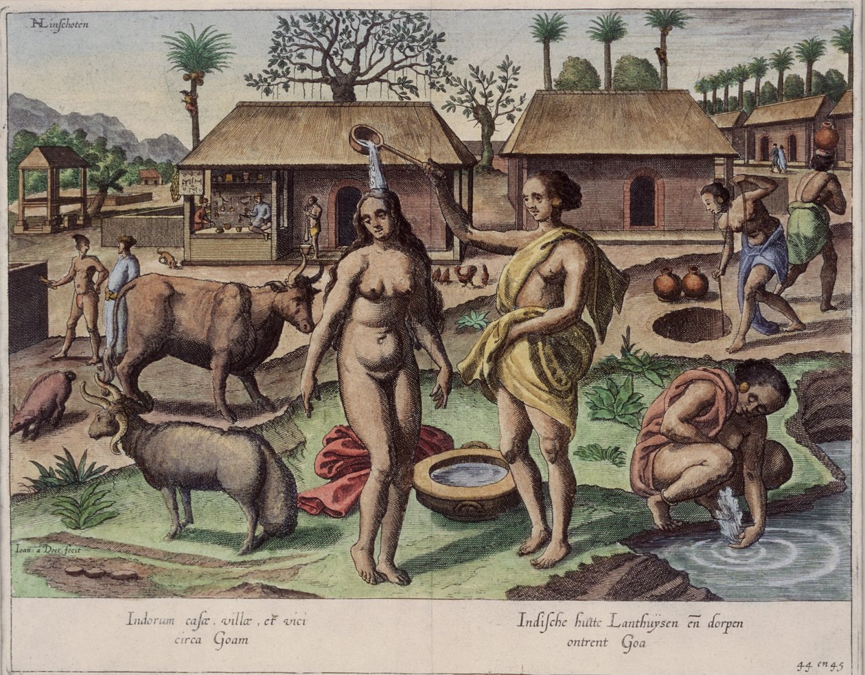 Livet i Goa, illustration fra 