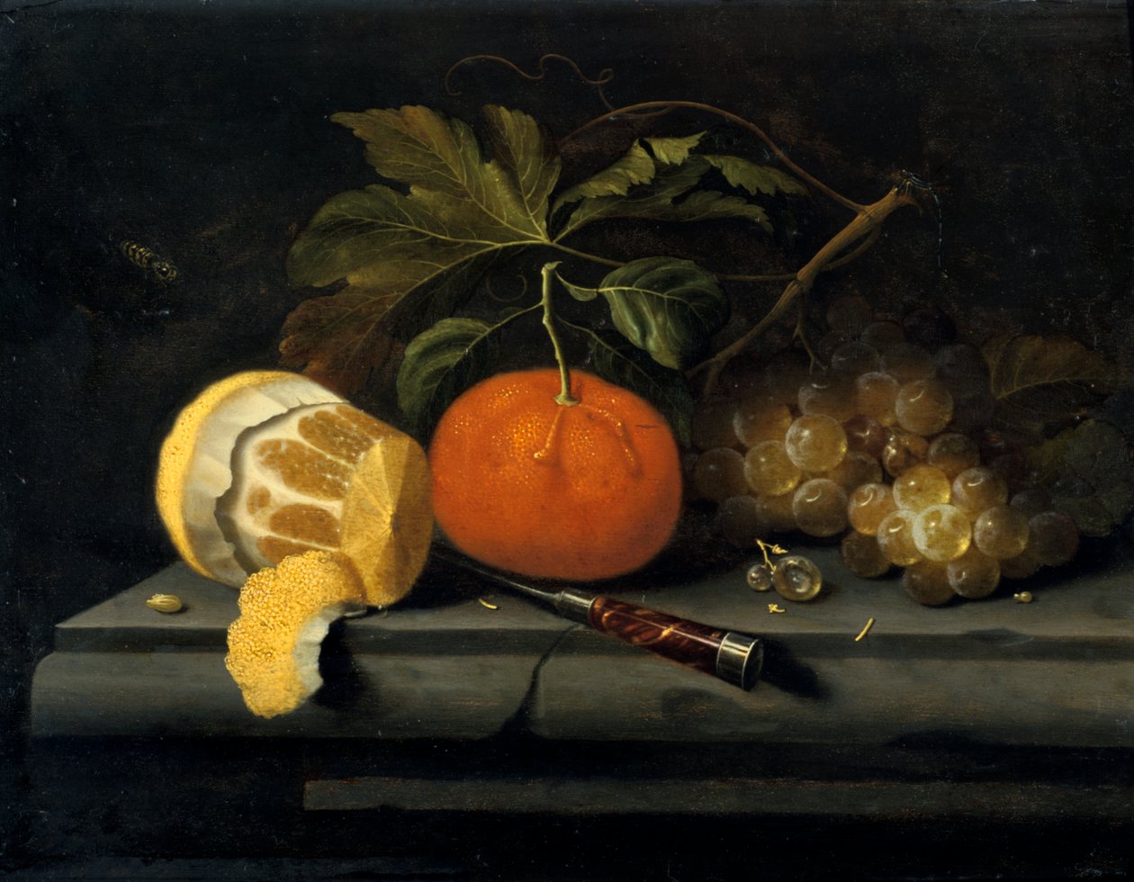 Frugter på en borddækning af sten, c1653-1659 af Johannes Borman