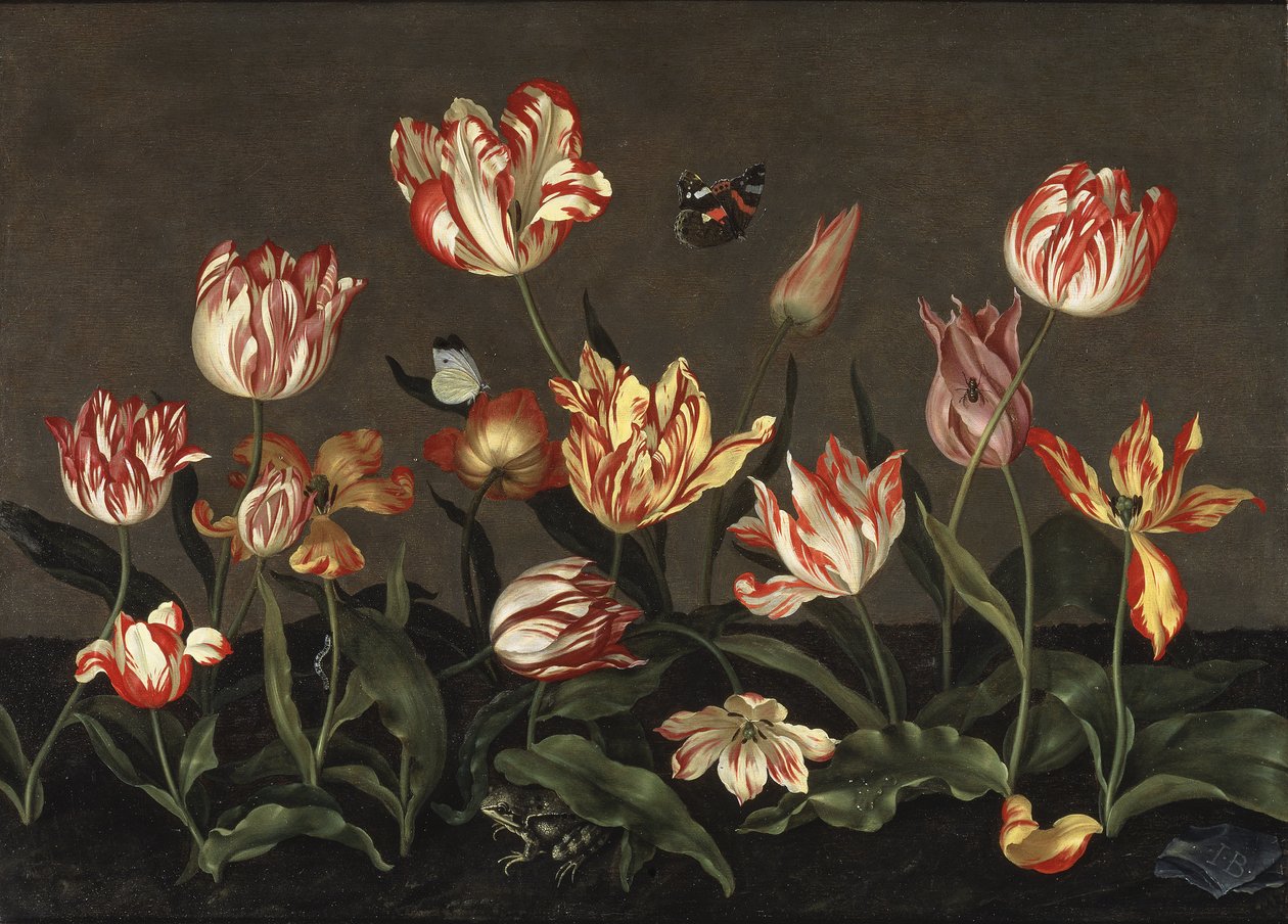 Nature morte avec des tulipes - Stilleben med tulipaner, af Bosschaert, Johannes (ca. 1610-ca. 1650). Olie på træ. Mål: 46x64 cm. Nationalmuseum Stockholm af Johannes Bosschaert