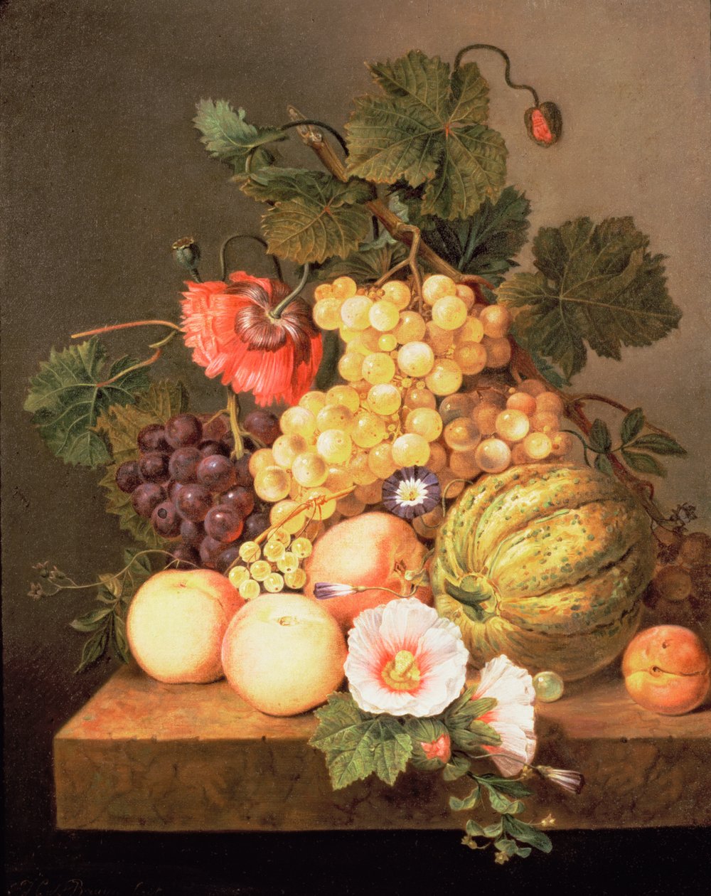 Stilleben med frugt af Johannes Cornelis Bruyn