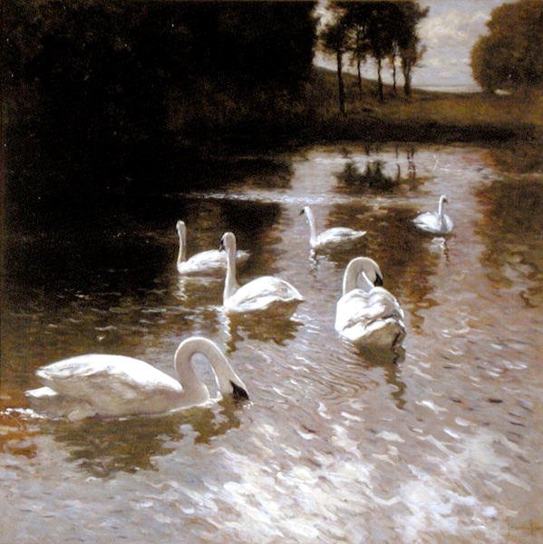 Svaner på en sø, ca. 1890 (olie på lærred) af Johannes Cornelis van Essen