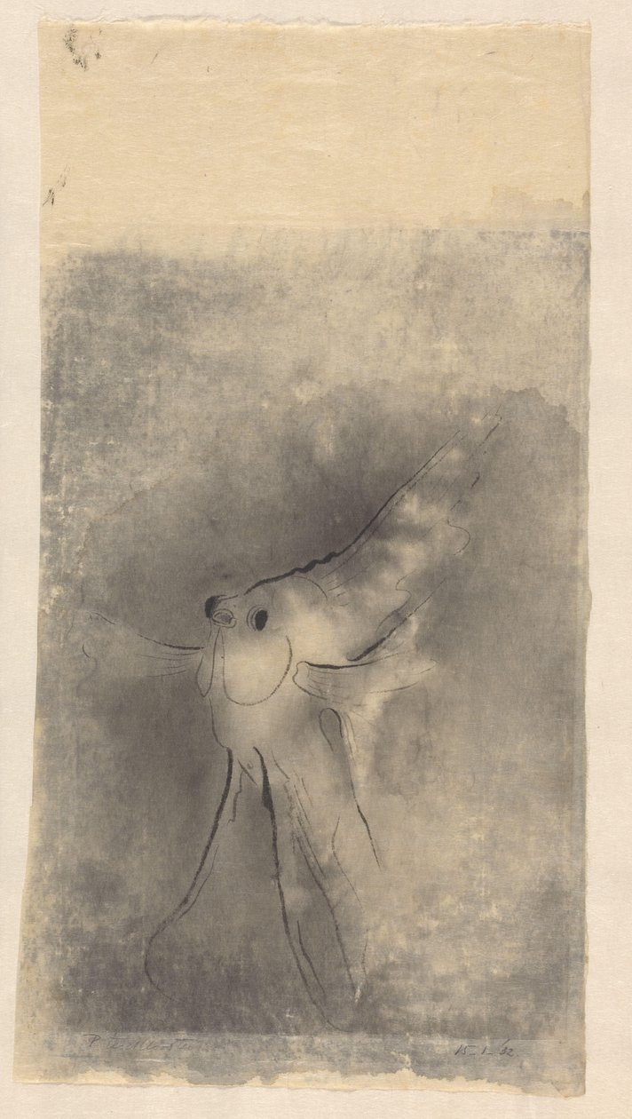 solfisk af Johannes Frederik Engelbert ten Klooster (signed by artist)