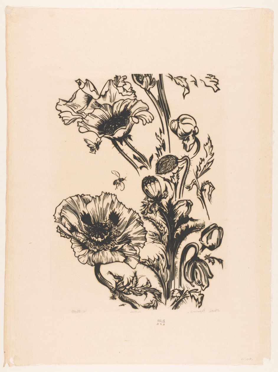 Studie papavers (original titel på objekt) af Johannes Frederik Engelbert ten Klooster (signed by artist)