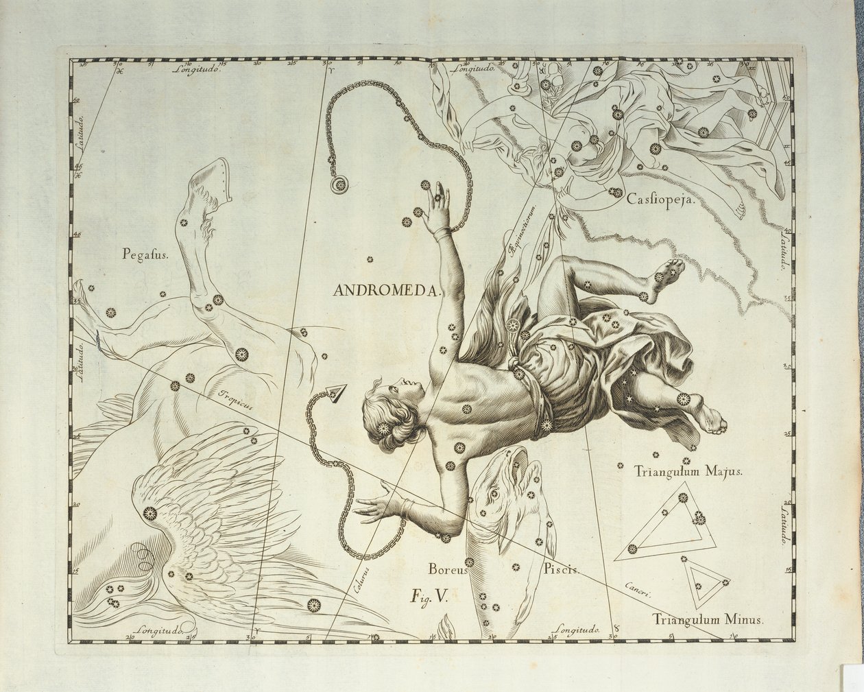 Boreal konstellation Andromeda, gravering fra himmelatlas Firmamentum Sobiescianum sive Uronographia, af Johann Hevelius (1611-1687), Gdansk af Johannes Hevelius