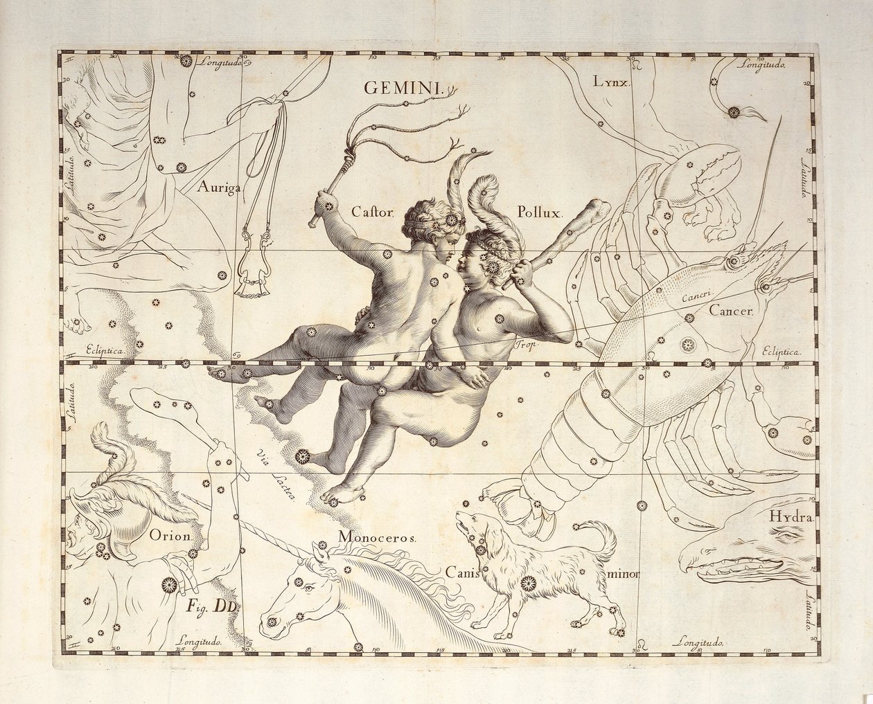 Tvillingernes stjernebillede Tvillingerne, gravering fra himmelatlas Firmamentum Sobiescianum sive Uronographia, af Johann Hevelius (1611-1687), Gdansk af Johannes Hevelius