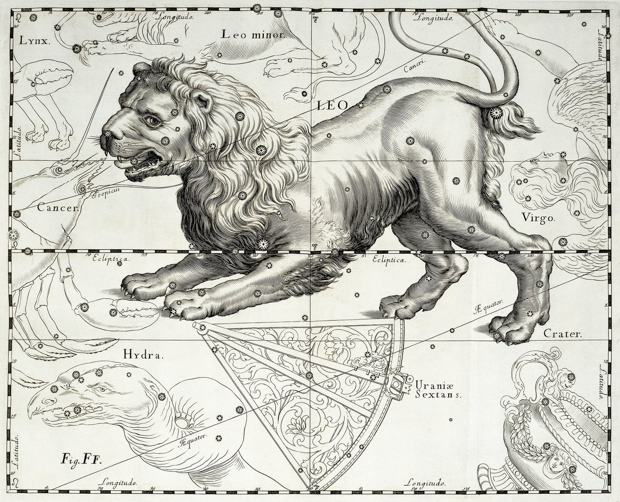 Løven, stjernebilledet Løve, illustration taget fra Johann Hevelius