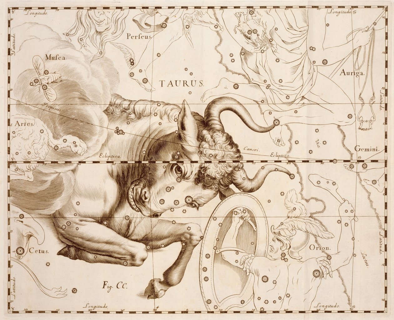Tyren (stjernetegn), gravering fra Firmamentum Sobiescianum sive Uranographia, Komplet stjernekatalog, af Johann Hevelius (1611-1687), trykt i Gdansk af Johannes Hevelius
