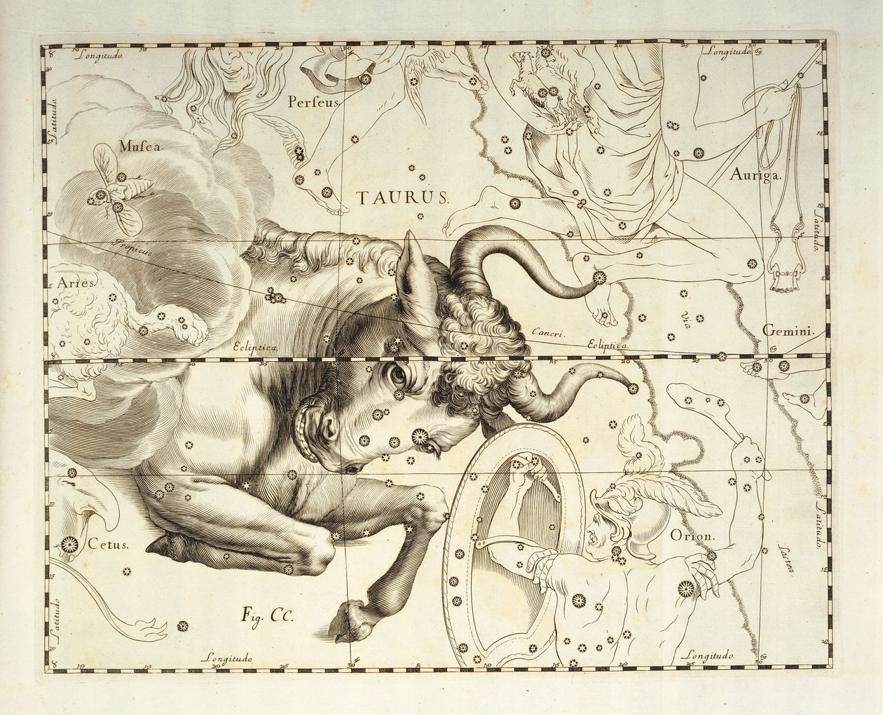 Tyren, stjernebilledet Tyren, gravering fra himmelatlas Firmamentum Sobiescianum sive Uronographia, af Johann Hevelius (1611-1687), Gdansk af Johannes Hevelius