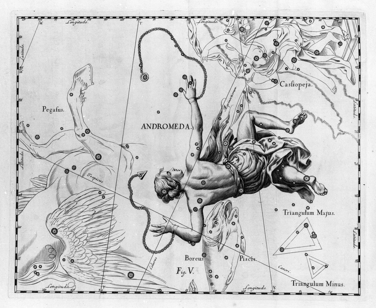 Stjernebilledet Andromeda. Tallerken tegnet fra ""Firmamentum Sobiescanum sive Uranographia"" af Johannes Hevelius eller Hevel (1611-1687) af Johannes Hevelius