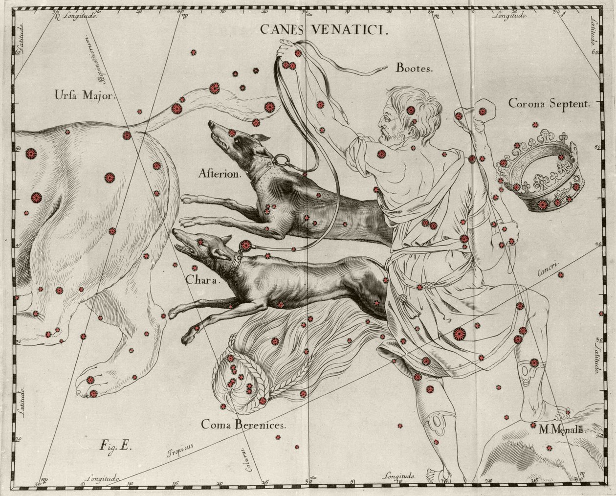 Stjernebilledet Canes Venatici, Jagthunde. Tallerken tegnet fra "" Firmamentum Sobiescanum sive Uranographia"" af Johannes Hevelius eller Hevel (1611-1687) af Johannes Hevelius