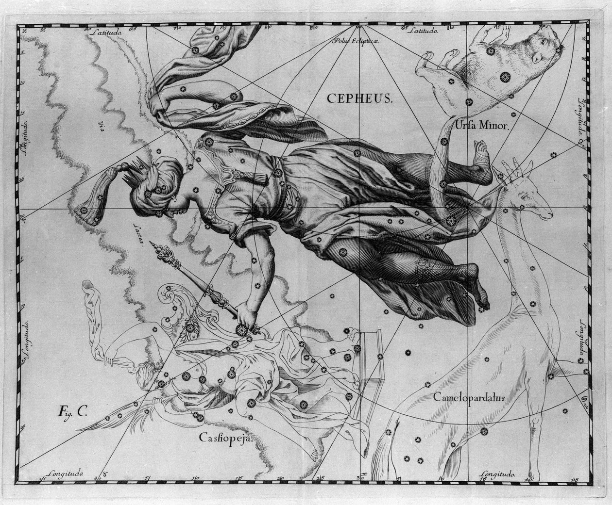 Konstellationen Cepheus (eller Cephee), konge af Etiopien. Tallerken tegnet fra "" Firmamentum Sobiescanum sive Uranographia"" af Johannes Hevelius eller Hevel (1611-1687) af Johannes Hevelius