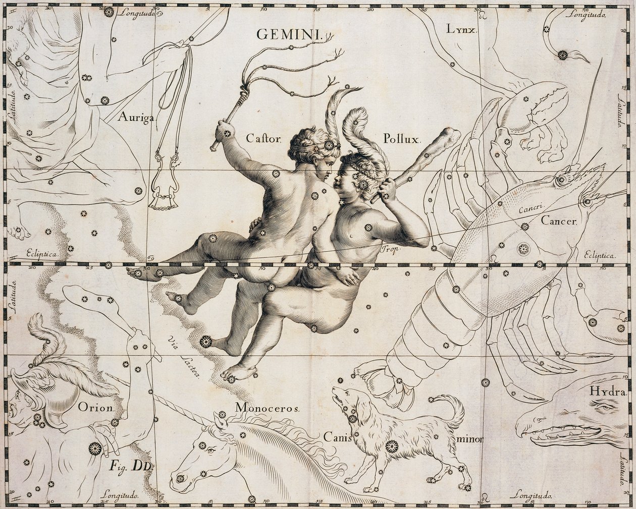 Konstellationen Tvillingerne, illustration fra Firmamentum Sobiescianum sive Uranographia, af Johann Hevelius (1611-1687), Gdansk 1690 af Johannes Hevelius