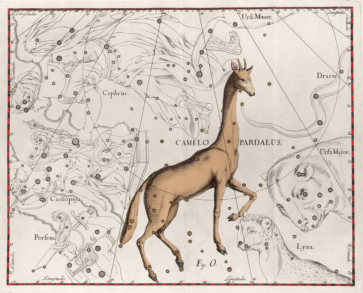 Konstellationen af ​​girafpladen taget fra "" Firmamentum Sobiescanum sive Uranographia"" af Johannes Hevelius eller Hevel (1611-1687) af Johannes Hevelius