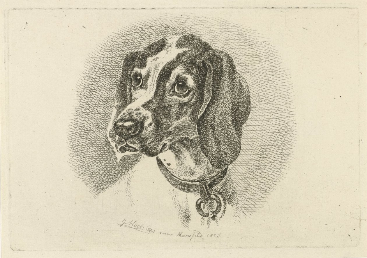 Hundehoved med halsbånd med ring af Johannes Mock