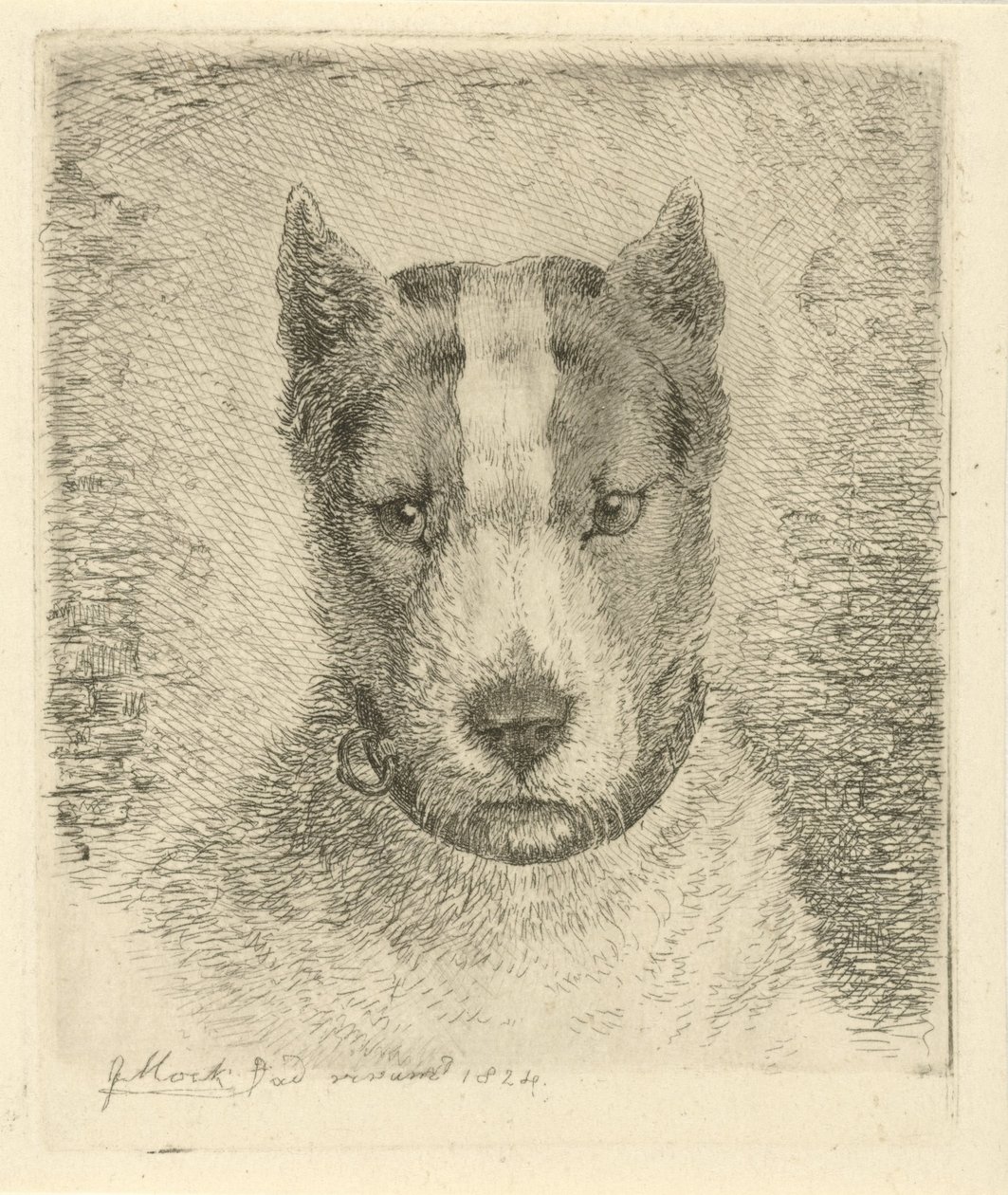 Hundehoved med halsbånd af Johannes Mock