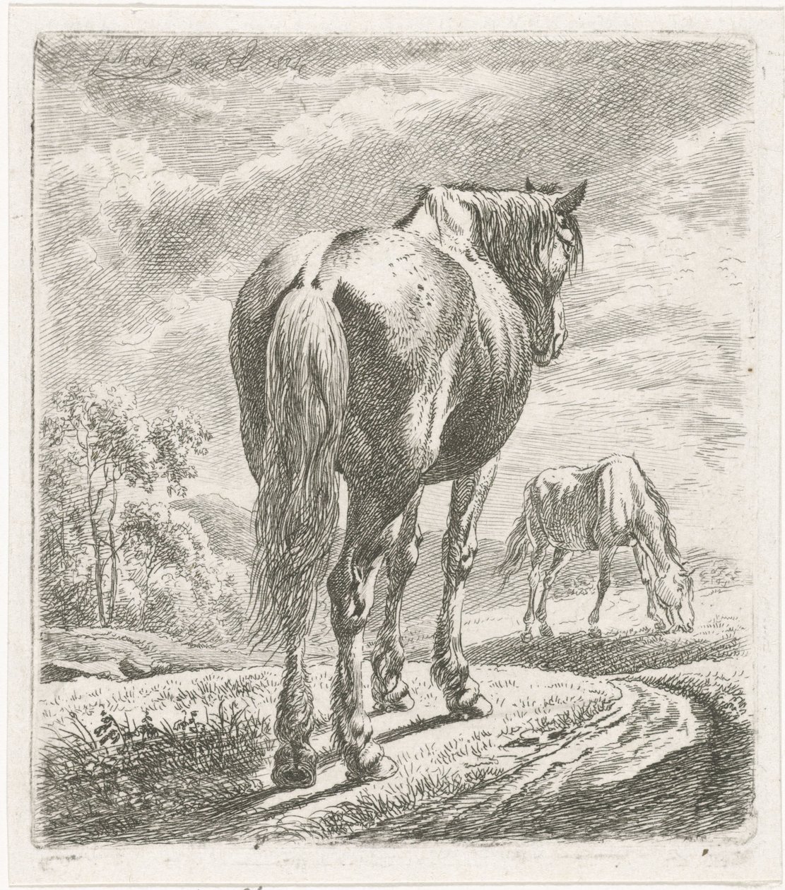 Hest set bagfra af Johannes Mock