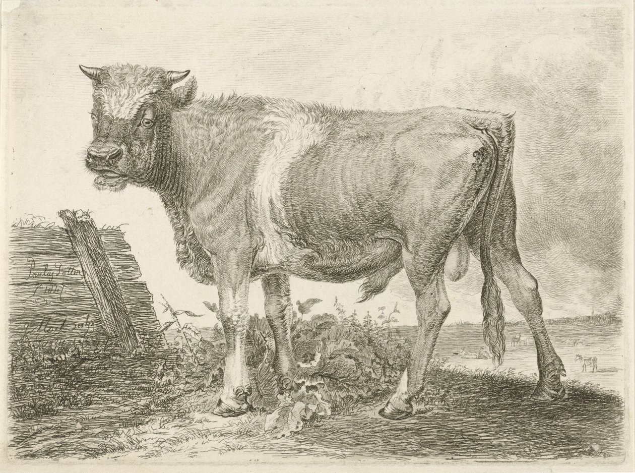 Stier af Johannes Mock