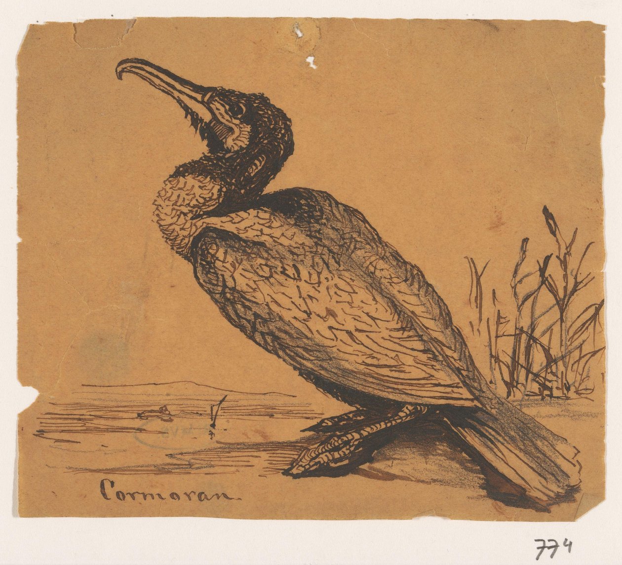 Skarv Cormoran (titel på objekt) af Johannes Tavenraat