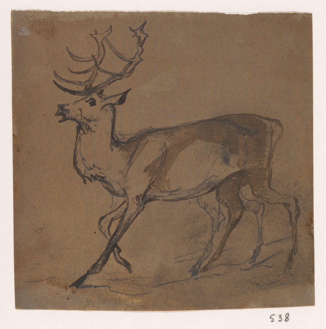 Hert af Johannes Tavenraat
