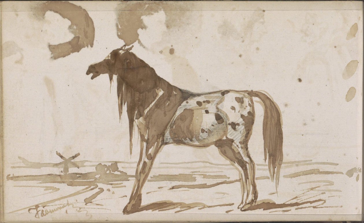 Fladt landskab med en hest af Johannes Tavenraat