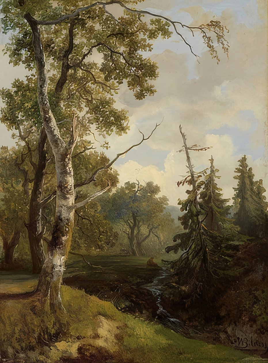 Waldstück bei Wolfheze (Skovudsigt ved Wolfheze) af Johannes Warnardus Bilders