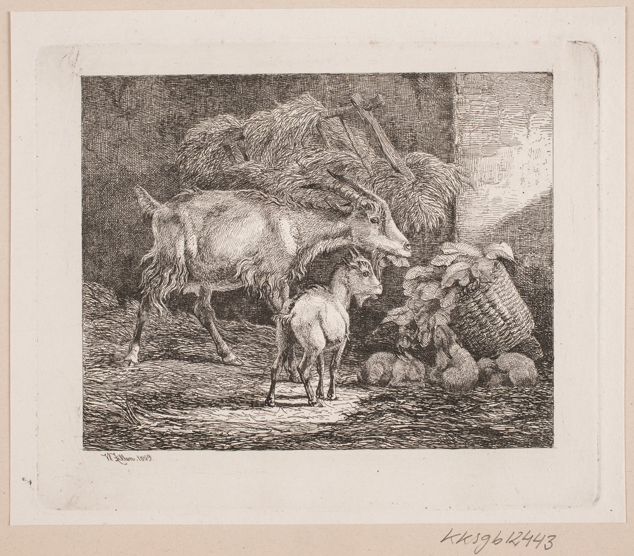 En ged, et kid og kaniner i en stald af Johannes Wilhelm Zillen