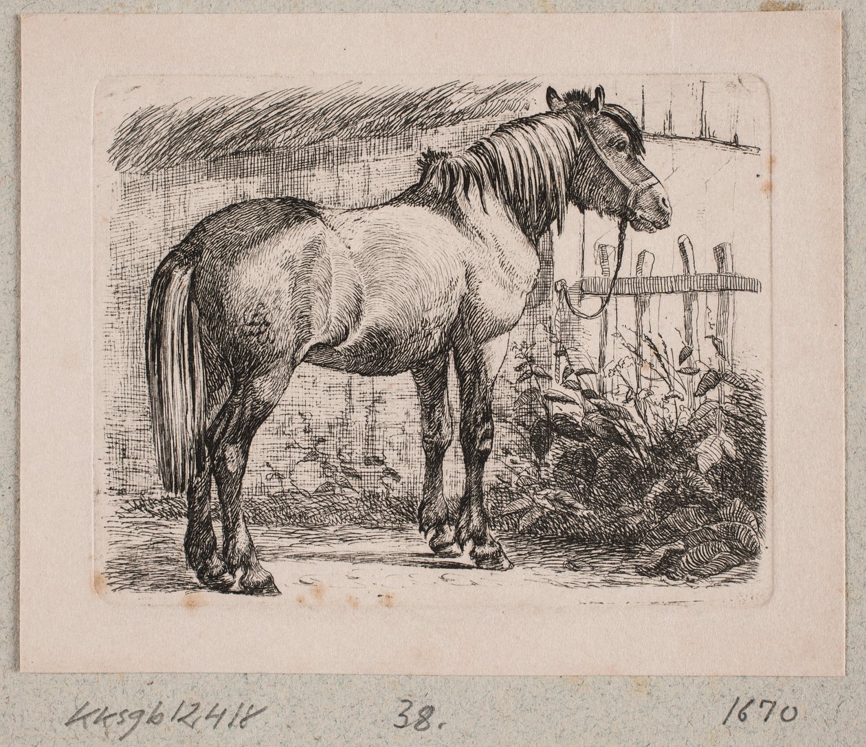 En hest med grime af Johannes Wilhelm Zillen