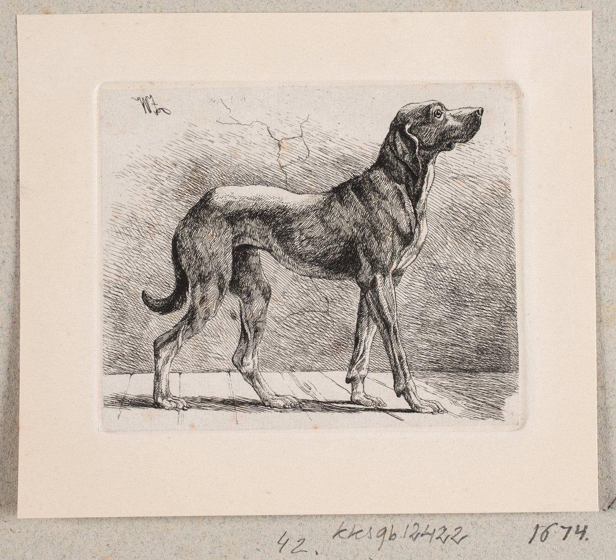En stående hund af Johannes Wilhelm Zillen
