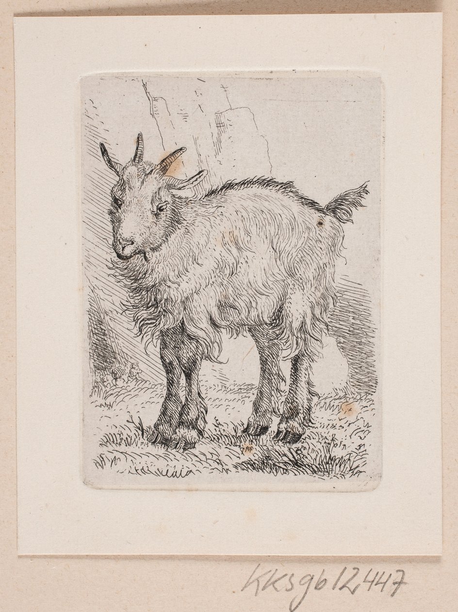 Et gedekid af Johannes Wilhelm Zillen