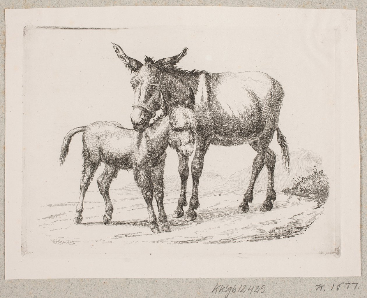 Et æsel med sit føl af Johannes Wilhelm Zillen