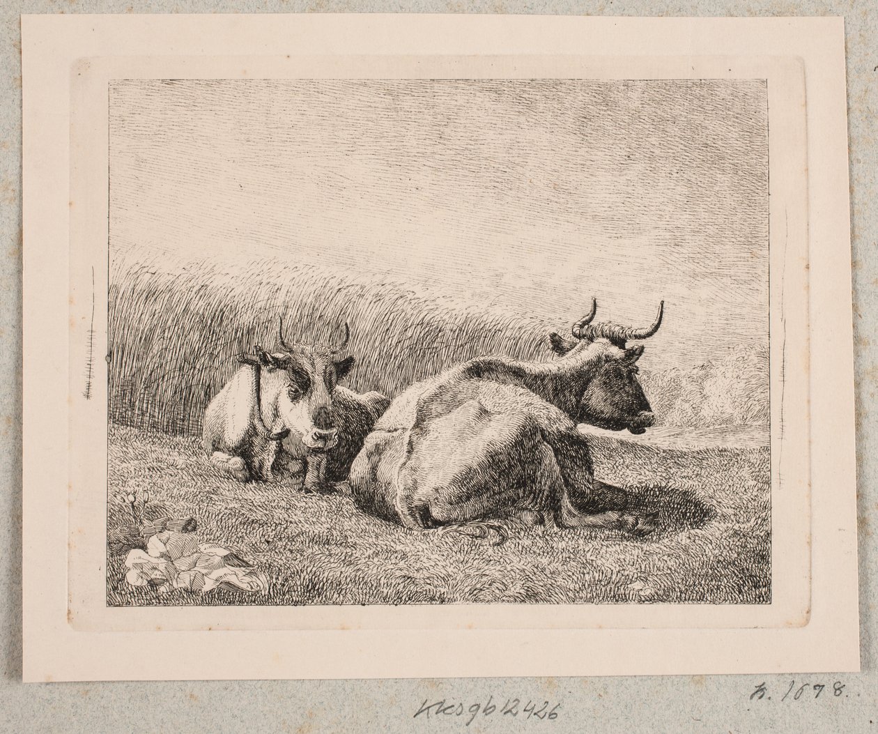 To hvilende køer af Johannes Wilhelm Zillen