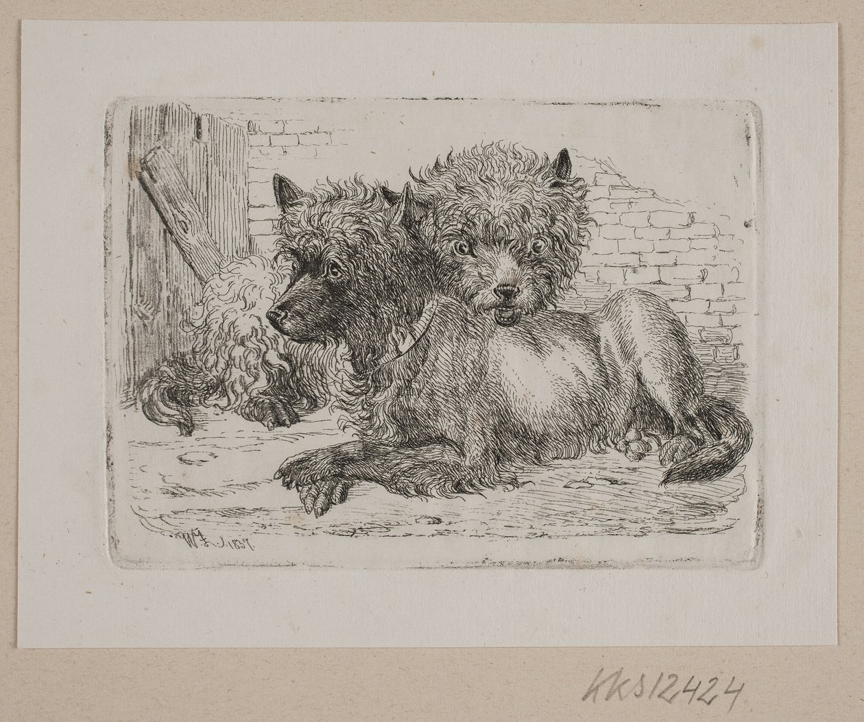 To liggende hunde af Johannes Wilhelm Zillen