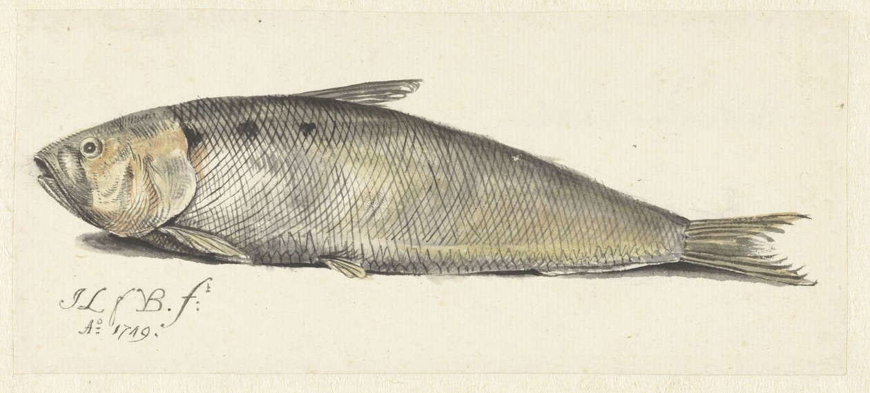 Pæn af Johannes le Francq van Berkhey