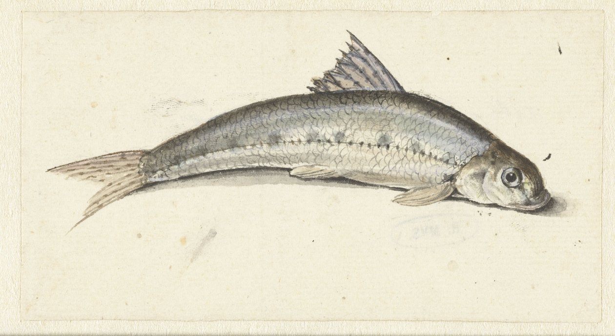 gondol af Johannes le Francq van Berkhey