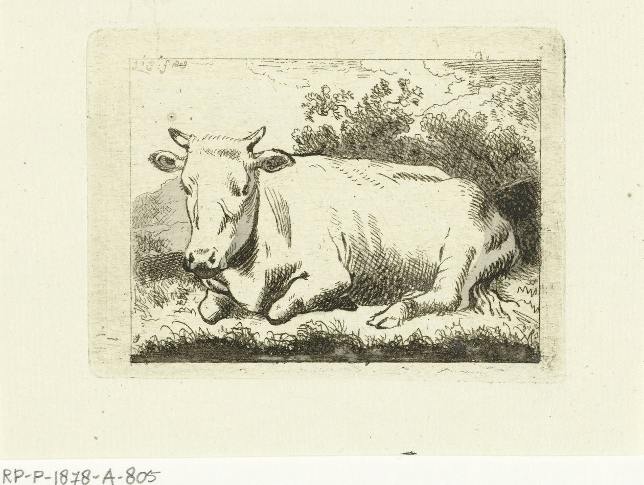 Liggende ko af Johannes van Cuylenburgh