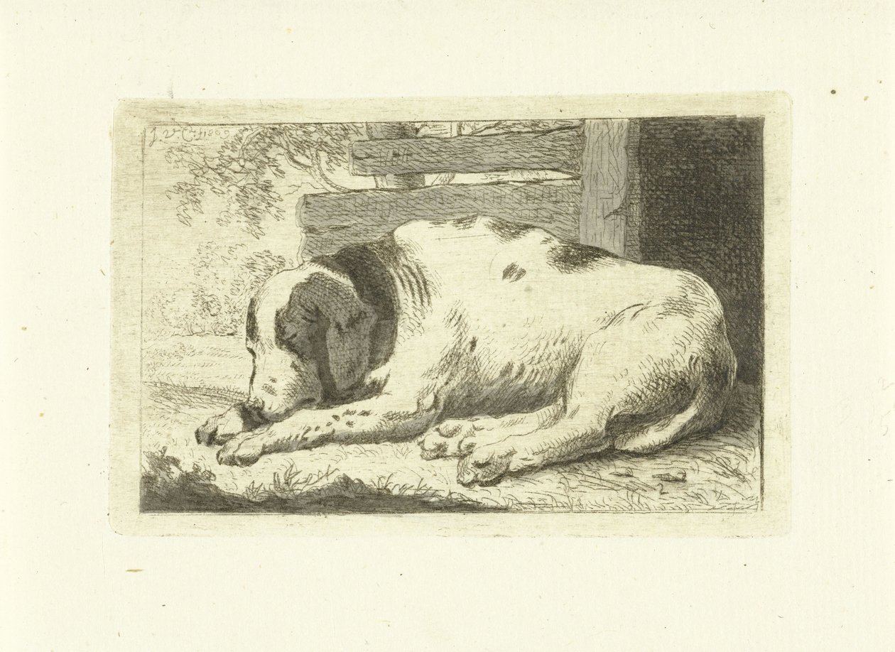 sovende hund af Johannes van Cuylenburgh