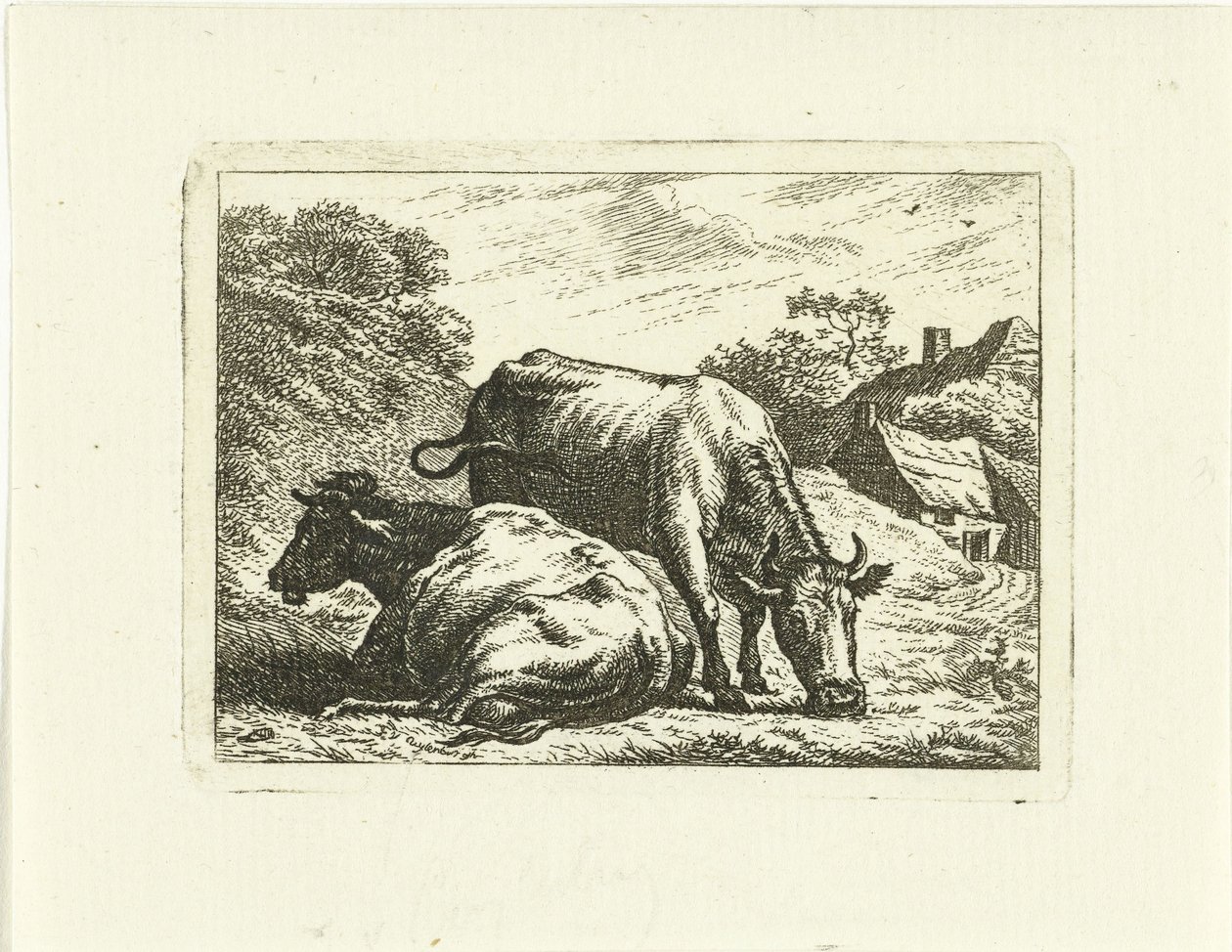 To køer langs vejen ved gården af Johannes van Cuylenburgh