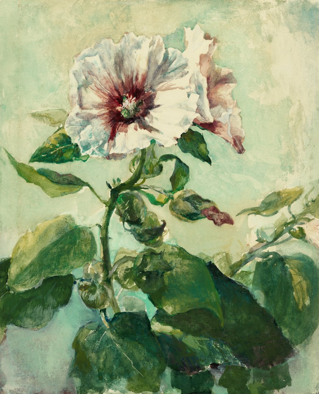 Undersøgelse af lyserøde stokrose i sollys, fra naturen af John La Farge or Lafarge